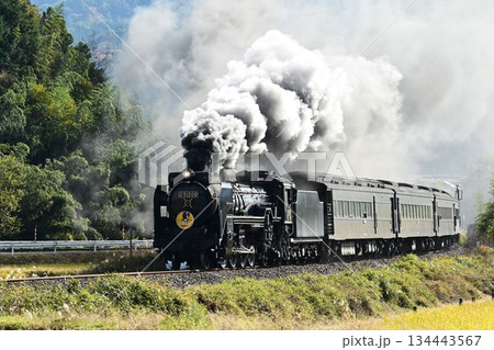 SLやまぐち号　JR山口線　撮影名所　徳佐Sカーブを驀進 134443567