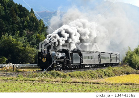 SLやまぐち号 JR山口線 撮影名所 徳佐Sカーブを驀進 SLやまぐち号 JR山口線 撮影名所 徳佐Sカーブを驀進 134443568