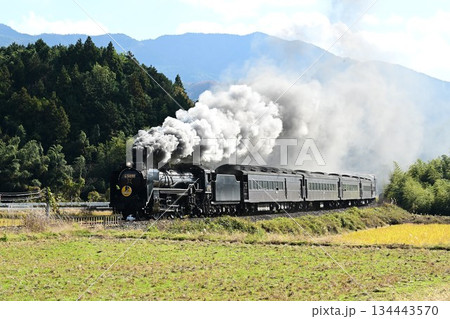 SLやまぐち号 JR山口線 撮影名所 徳佐Sカーブを驀進 SLやまぐち号 JR山口線 撮影名所 徳佐Sカーブを驀進 134443570