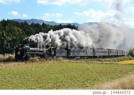 SLやまぐち号　JR山口線　撮影名所　徳佐Sカーブを驀進 134443572