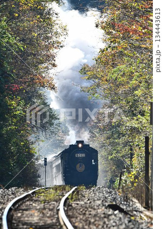 SLやまぐち号 紅葉映える 逆篠目 田代トンネルを抜け 篠目へ下る SLやまぐち号 紅葉映える 逆篠目 田代トンネルを抜け 篠目へ下る 134443613