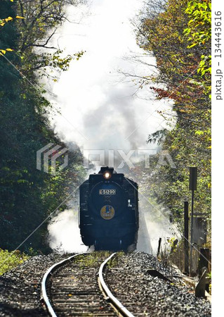 SLやまぐち号　紅葉映える　逆篠目　田代トンネルを抜け　篠目へ下る　 134443616