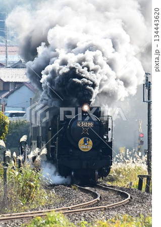SLやまぐち号 JR山口線 撮影名所 徳佐Sカーブを驀進 SLやまぐち号 JR山口線 撮影名所 徳佐Sカーブを驀進 134443620