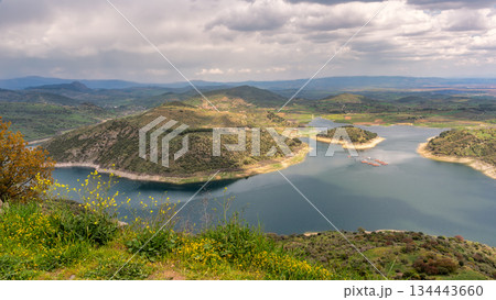 Scenic view of Kestel Dam Reservoir with green hills and yellow wildflowers under a cloudy sky, Bergama, Turkey. 134443660