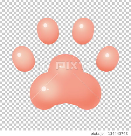 肉球　足跡　イラスト素材 134443748