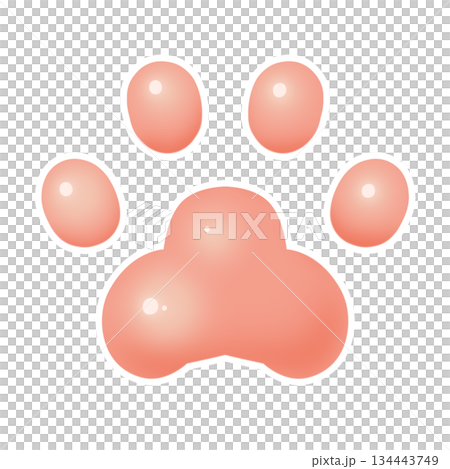 肉球　足跡　イラスト素材 134443749
