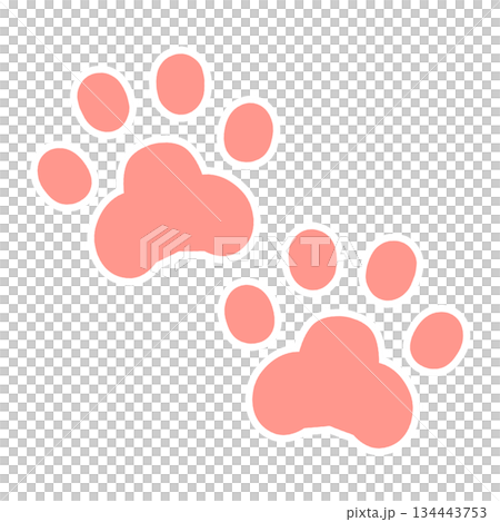 肉球　足跡　イラスト素材 134443753