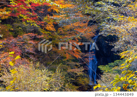 山梨県山梨市三富川浦 紅葉の西沢渓谷大久保の滝 山梨県山梨市三富川浦 紅葉の西沢渓谷大久保の滝 134443849