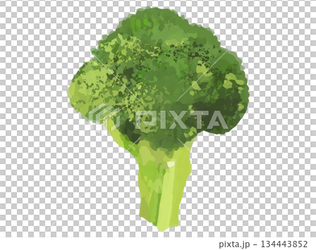 西蘭花小花示意圖(基礎版) 西蘭花小花示意圖(基礎版) 134443852