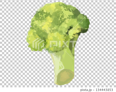 西蘭花小花（淡黃色）示意圖 134443853