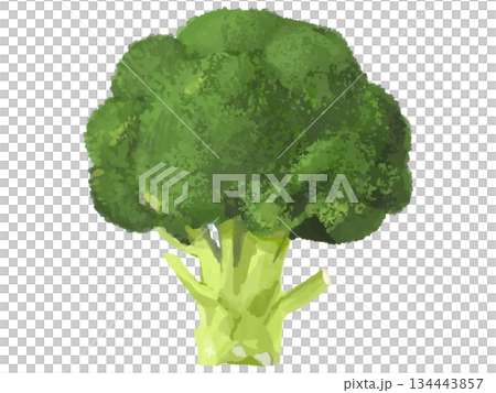 綠色花椰菜全貌示意圖 134443857