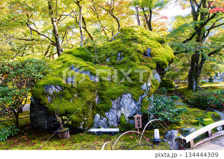 京都、宝厳院の獅子吼（ししく）の庭 134444309