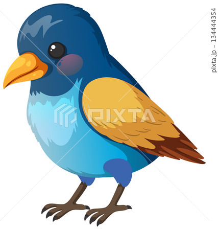 Colorful Blue Songbird Standing in Profile View Colorful Blue Songbird Standing in Profile View 134444354