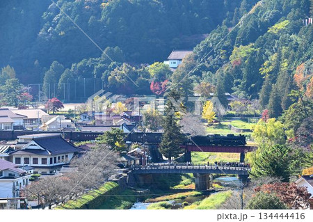 秋色の染まる津和野川を渡る SLやまぐち号 秋色の染まる津和野川を渡る SLやまぐち号 134444416