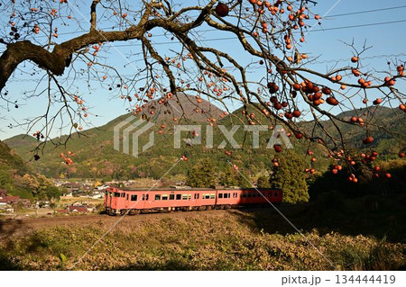 秋景色　津和野盆地を行く　たらこ色　キハ40気動車 134444419