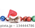 Little hedgehog wearing red Santa Claus hat with ornamental ball. 134444786