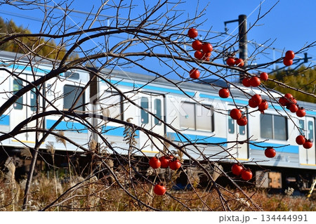 鉄道 列車 電車 JR 奈良線 柿 熟す 木 冬 205系 実 かき 鉄道 列車 電車 JR 奈良線 柿 熟す 木 冬 205系 実 かき 134444991