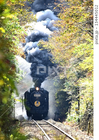SLやまぐち号　紅葉映える　逆篠目　空転爆煙 134445012