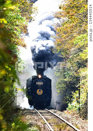 SLやまぐち号　紅葉映える　逆篠目　空転爆煙 134445014