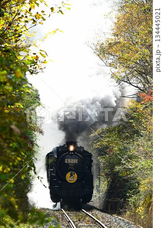 SLやまぐち号 紅葉映える 逆篠目 空転爆煙 SLやまぐち号 紅葉映える 逆篠目 空転爆煙 134445021
