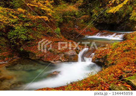 山梨県山梨市三富川浦 笛吹川の上流に位置する西沢渓谷のハイキングコースからの紅葉の三重の滝 山梨県山梨市三富川浦 笛吹川の上流に位置する西沢渓谷のハイキングコースからの紅葉の三重の滝 134445059