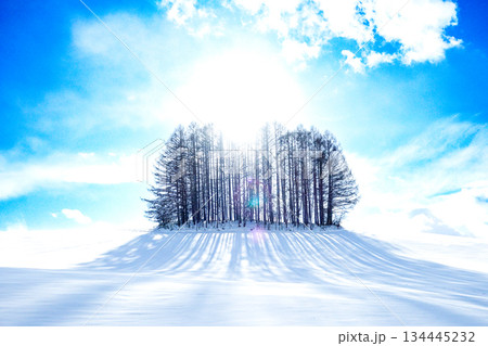 冬の北海道美瑛町にあるマイルドセブンの丘に太陽が重なった風景 134445232