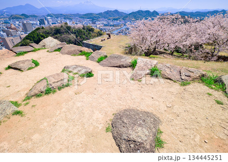 〈鳥取県〉米子城跡　城山頂上の礎石の遺構　4月 134445251