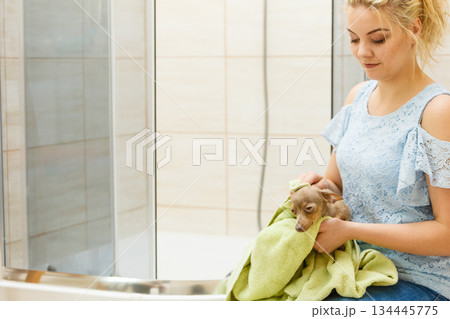 Woman drying dog after bath Woman drying dog after bath 134445775