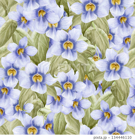 Purple garden vine flowers watercolor seamless pattern. Pastel violet floral liana plant hand drawn repeat background of blue clockvine trumpet. Botanical floral art of tropical nature 134446110