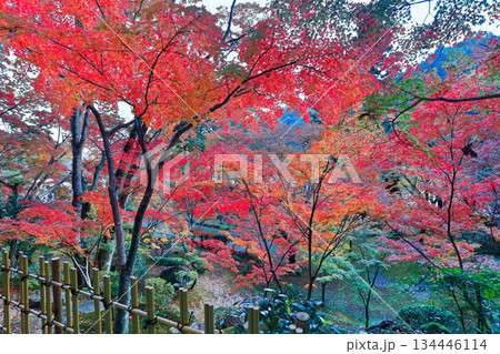【香川県】四国霊場「第88番札所」秋の紅葉した大窪寺 134446114
