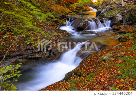 山梨県山梨市三富川浦　笛吹川の上流に位置する西沢渓谷のハイキングコースからの渓流の紅葉の景色 134446204