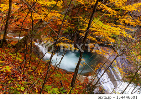山梨県山梨市三富川浦　笛吹川の上流に位置する西沢渓谷のハイキングコースからの紅葉の七ツ釜五段の滝 134446601