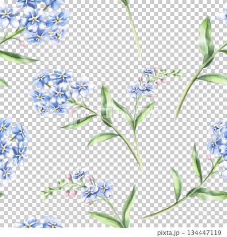 A seamless pattern with delicate forget-me-nots. Watercolor illustration for interior design, fabric printing, and packaging. 134447119