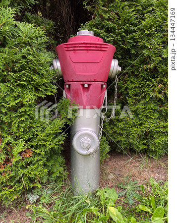 Red European Above-Ground Fire Hydrant on Grass Red European Above-Ground Fire Hydrant on Grass 134447169