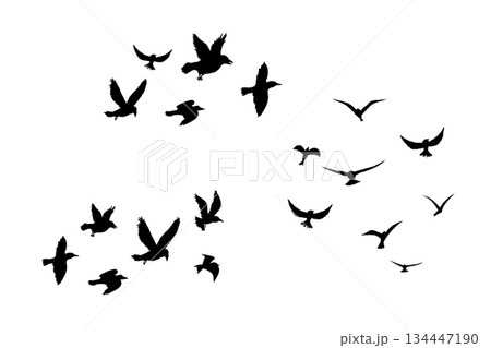 Flying flock of birds silhouette, Simple swallows in flight, crows in the sky. Group of birds border. 134447190
