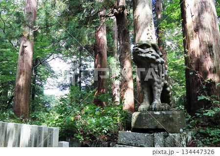 鳥取県　大神山神社　狛犬 134447326