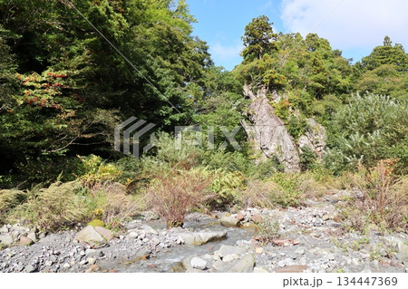 鳥取県　大神山神社　奥宮へ続く途中の金門 134447369