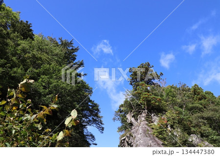 鳥取県　大神山神社　奥宮へ続く途中の金門 134447380