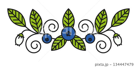 Farm blueberry plant line divider or spacer. Farm plant thin line separator line, ripe wild blueberry lineart vector frame border. Garden fruit linear divider or forest berry underline spacer Farm blueberry plant line divider or spacer. Farm plant thin line separator line, ripe wild blueberry lineart vector frame border. Garden fruit linear divider or forest berry underline spacer 134447479