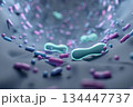 腸壁や皮膚に定着する多様な細菌叢のバランスイメージ マイクロバイオーム 134447737