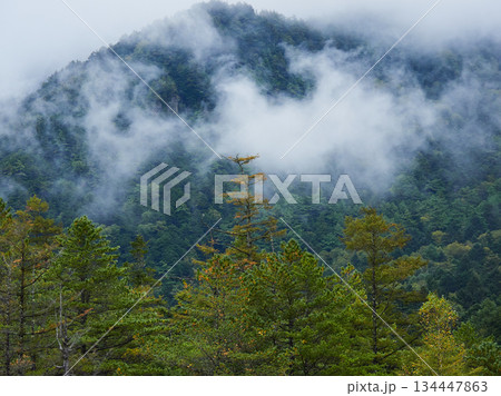 秋の観光名所上高地の森と穂高連峰の霧の風景 134447863