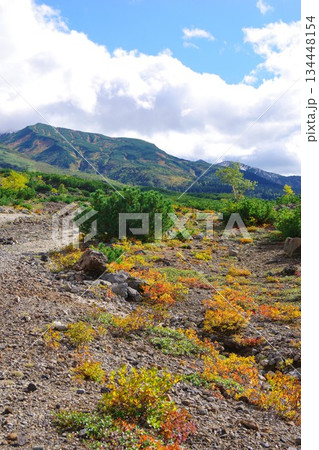 北海道美瑛町　望岳台から三段山を望む 134448154
