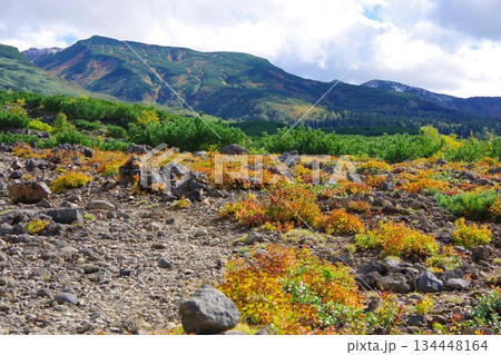 北海道美瑛町 望岳台から三段山・三峰山方面を望む 北海道美瑛町 望岳台から三段山・三峰山方面を望む 134448164