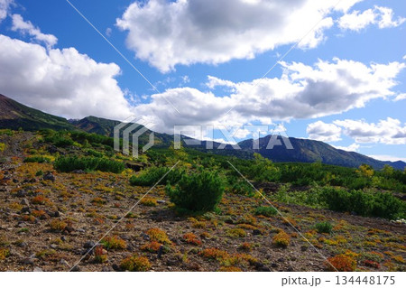 北海道美瑛町　望岳台から三段山・富良野岳方面を望む 134448175