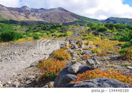 北海道美瑛町 望岳台から十勝岳・前十勝岳を望む 北海道美瑛町 望岳台から十勝岳・前十勝岳を望む 134448180
