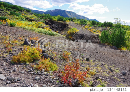 北海道美瑛町 望岳台から富良野岳方面を望む 北海道美瑛町 望岳台から富良野岳方面を望む 134448181