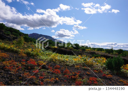 北海道美瑛町 望岳台から富良野岳方面を望む 北海道美瑛町 望岳台から富良野岳方面を望む 134448190