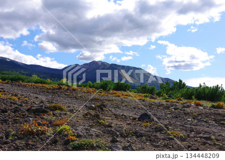 北海道美瑛町 望岳台から富良野岳を望む 北海道美瑛町 望岳台から富良野岳を望む 134448209