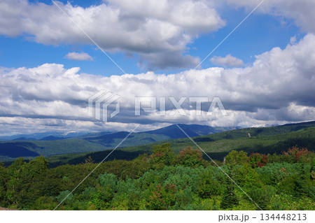 北海道美瑛町 望岳台から十勝連峰を望む 北海道美瑛町 望岳台から十勝連峰を望む 134448213