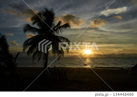 Serene sunset over ocean with silhouetted palm trees and gentle waves on sandy 134448480